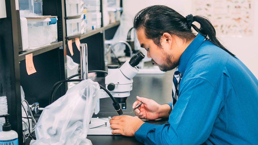 Elijah Resuello looks through a microscope in the UNCG Komatsu biology lab.