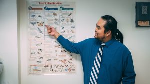 Elijah Resuello points at an insect chart in Dr. Kim Komatsu's biology lab at UNCG.